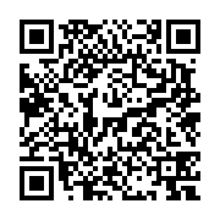 QR code for ICO4385