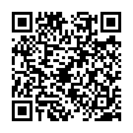 QR code for ICO6125