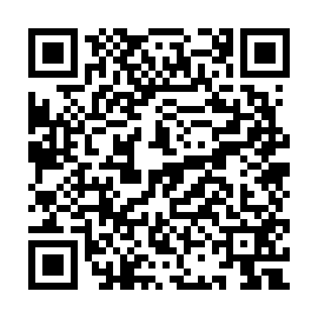 QR code for ICO6529