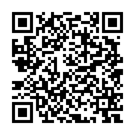QR code for ICP4653