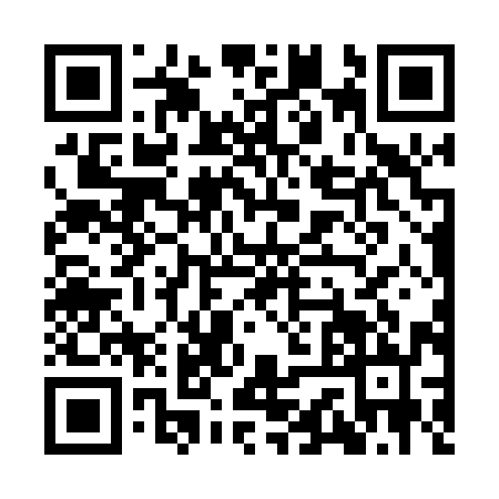 QR code for ICV0929
