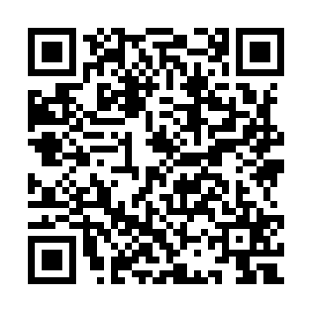 QR code for ICY9253