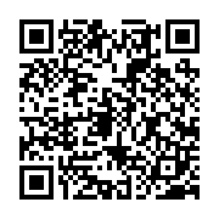 QR code for IDD2030