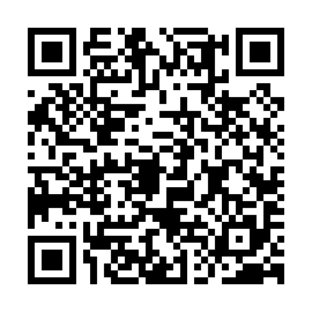 QR code for IDF0953
