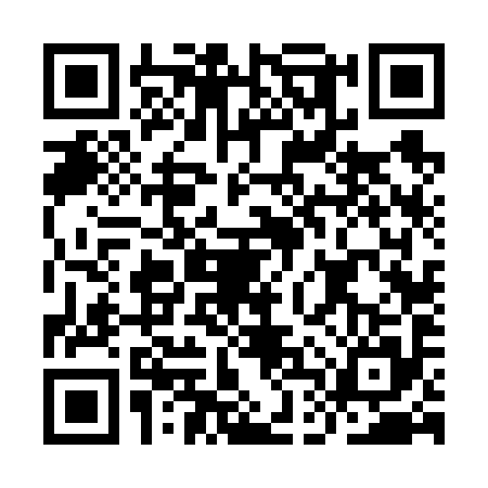 QR code for IDV6953