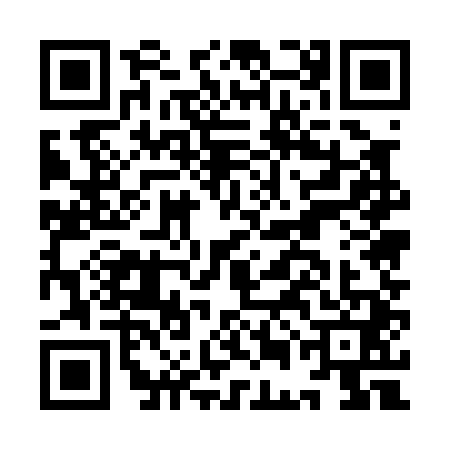 QR code for IEE0418