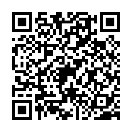 QR code for IFE0397
