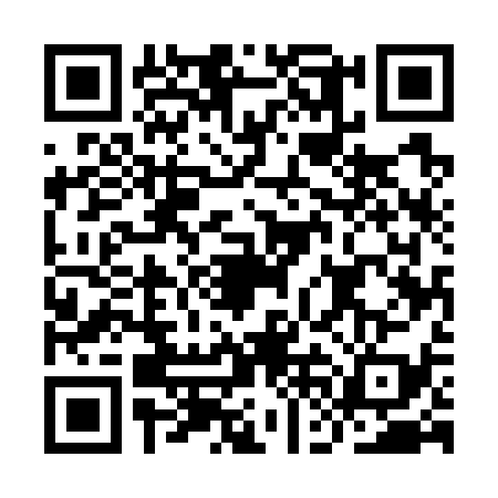QR code for IFE7393