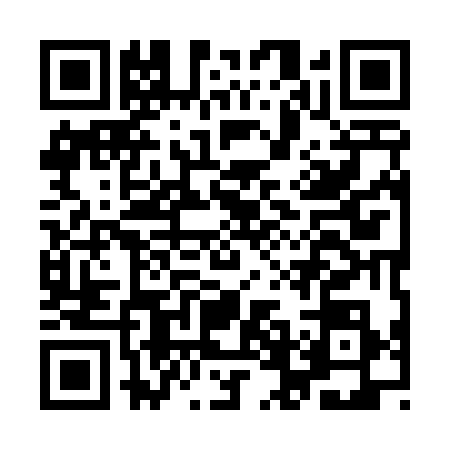 QR code for IFI4384