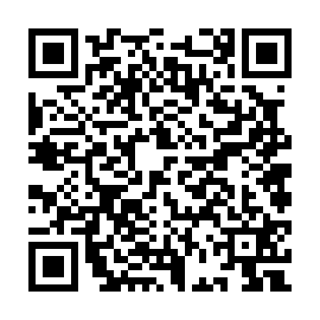 QR code for IFV0216