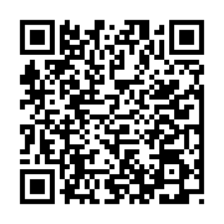 QR code for IFV5541