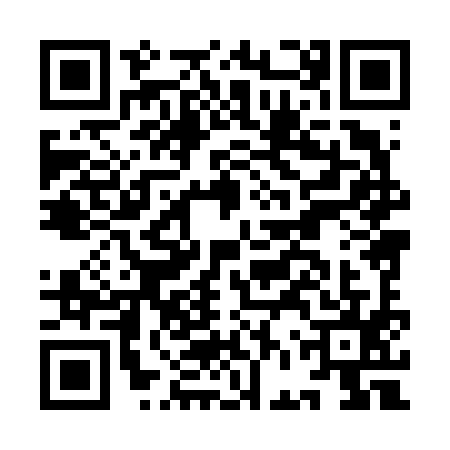 QR code for IFX6953