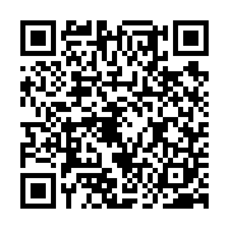 QR code for IGG6413