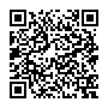 QR code for IGI6318