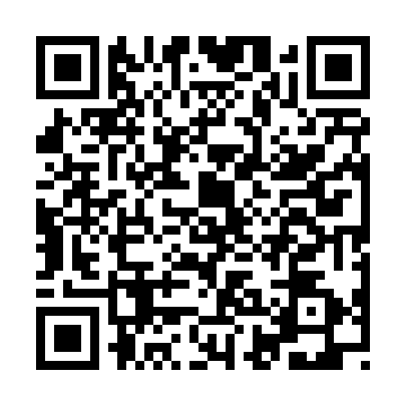 QR code for IHE4729