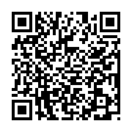 QR code for IIC1138