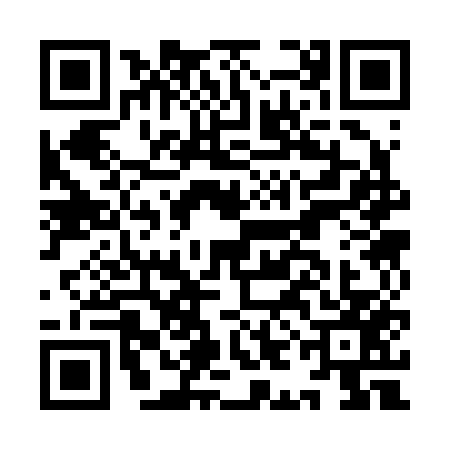QR code for IIC2570