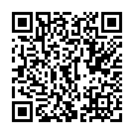 QR code for IIC3382