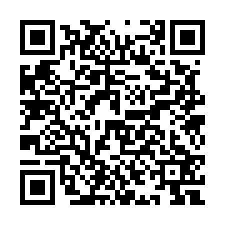QR code for IIC5233