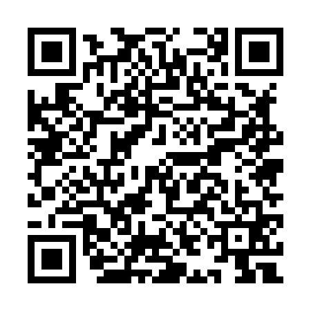 QR code for IIE8618