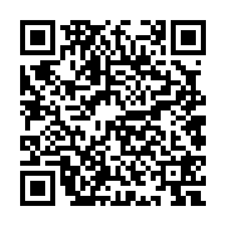 QR code for IIF0282