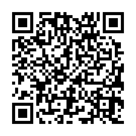 QR code for IIG3307