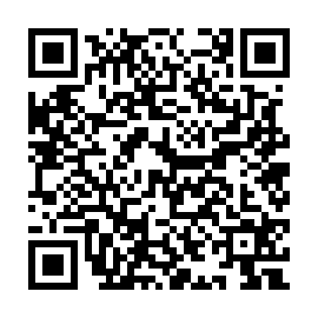 QR code for IIG5245