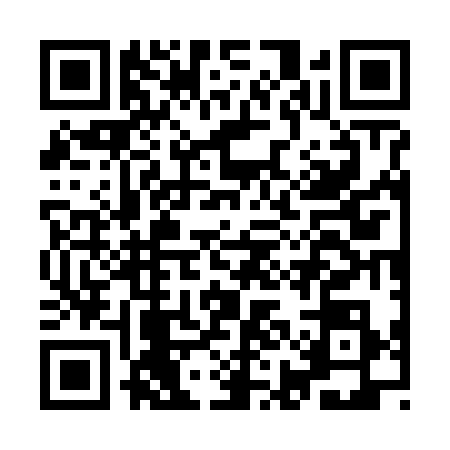 QR code for IIG6386