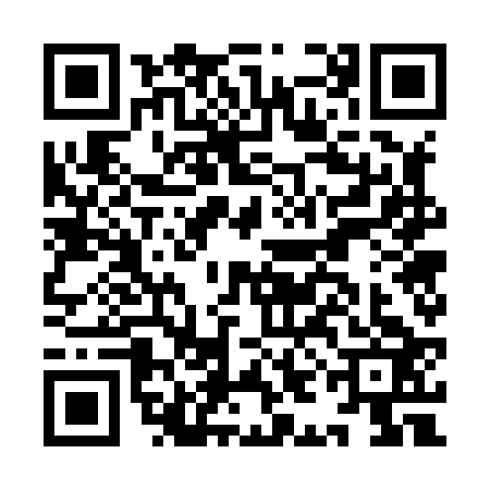 QR code for IIG8234