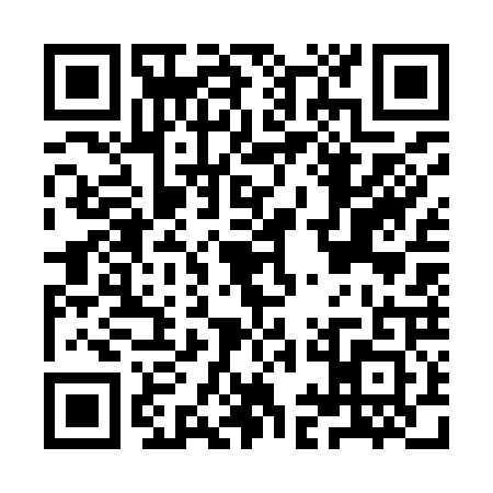 QR code for IIG9217