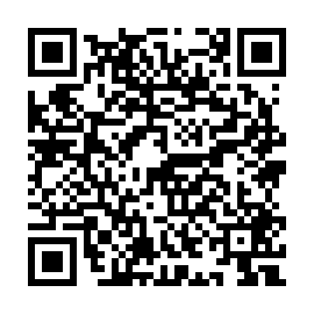 QR code for III2491