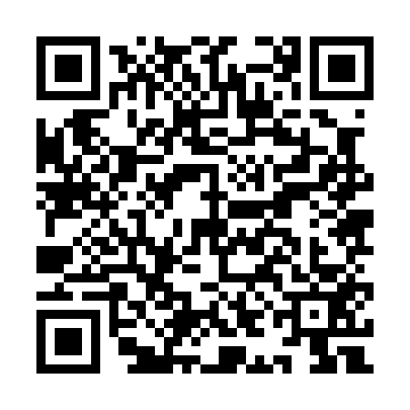 QR code for IIJ0530