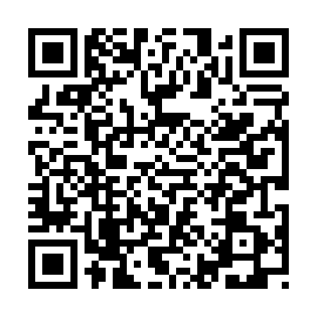 QR code for IIL0411