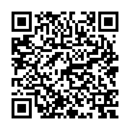 QR code for IIM2325