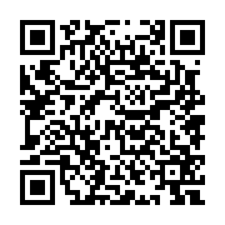QR code for IIN0665