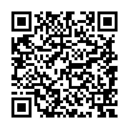 QR code for IIN8998