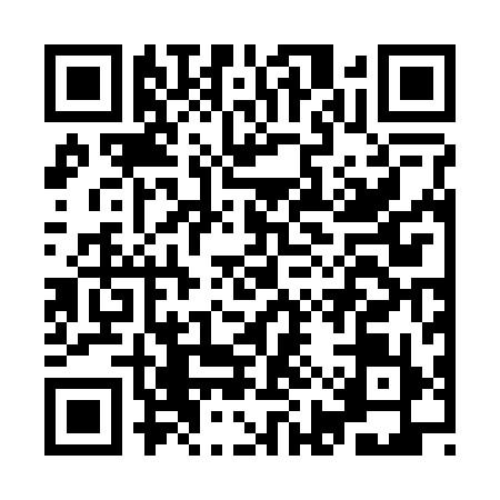 QR code for IIR2995