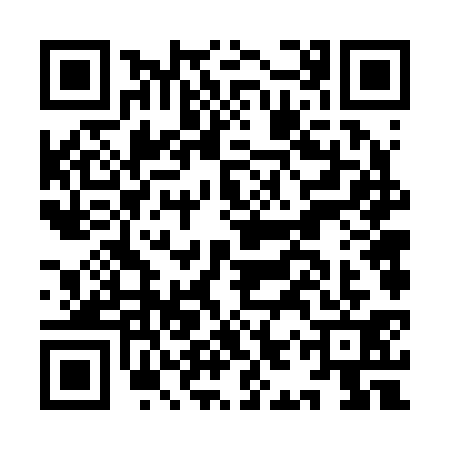 QR code for IIV2311