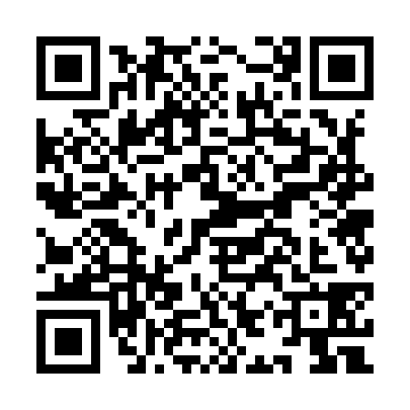 QR code for IIW9382
