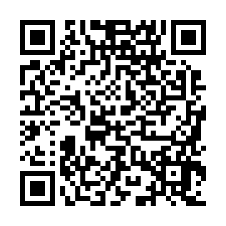QR code for IIY2869