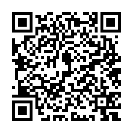 QR code for IJB6355