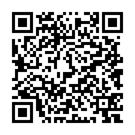 QR code for IJD5313