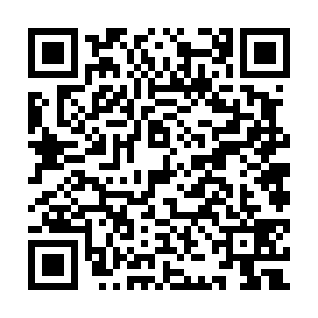 QR code for IJF4391