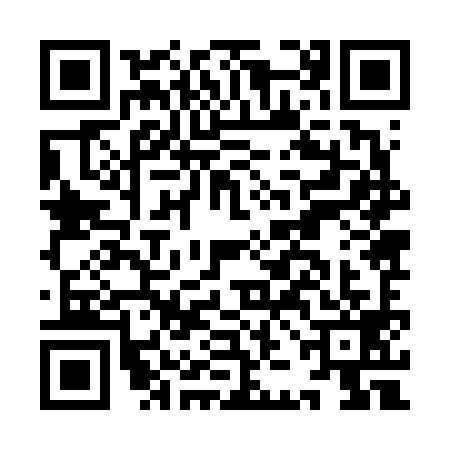 QR code for IJJ6991