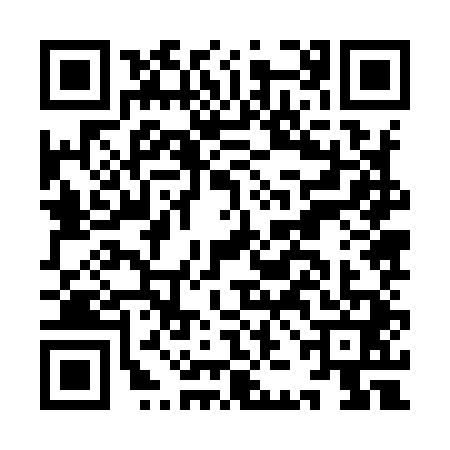 QR code for IJJ9419