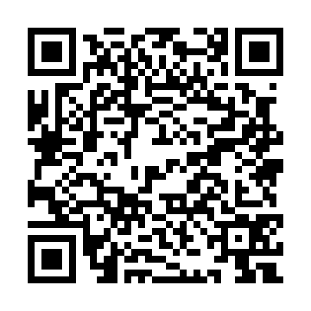 QR code for IJM0741