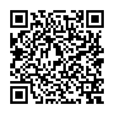 QR code for IJM9607