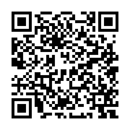 QR code for IJP3171