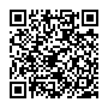QR code for IJQ6611