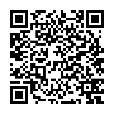 QR code for IJR3396
